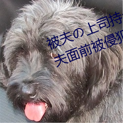 被夫の上司持久侵犯在线播放在丈夫面前被侵犯的人妻 （河门海口）