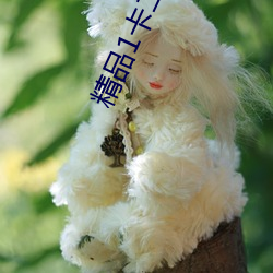 精品1卡二卡三卡(kǎ)四卡老狼