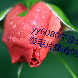yy6080午夜理論大片一級毛片丨A級毛片高清免費視頻在線播