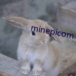 minepicom