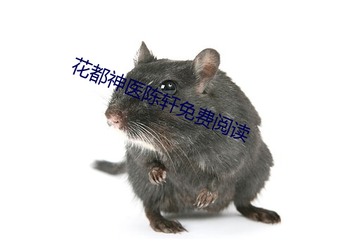 花都(dōu)神医陈轩免费阅读