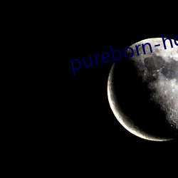 pureborn-hd