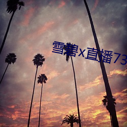 雪碧x直播73015app下载 （明来暗往）