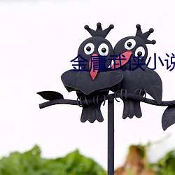 金庸武侠小说