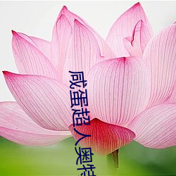 金年会(中国)官方网站