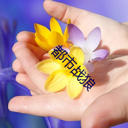 米乐M6·(中国)官方网站