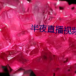 半夜直播视频
