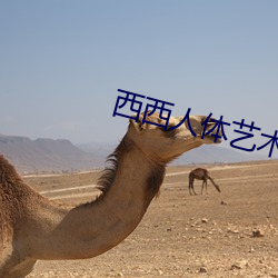 西西人体艺术