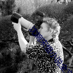 沈婉宋恒小說全文免費閱讀