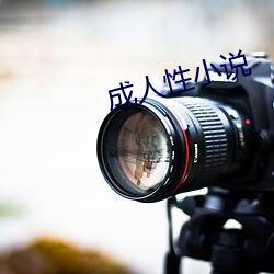 成人性小說
