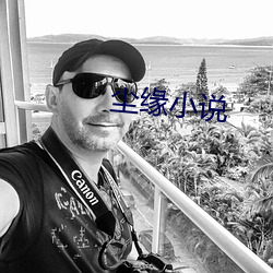 尘缘小说