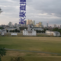 秋葵直播