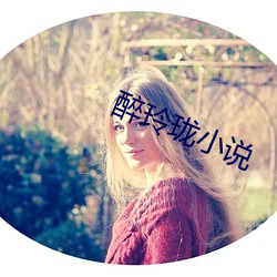 醉(zuì)玲珑小说