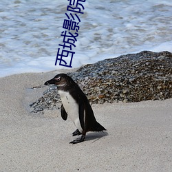 西城影院