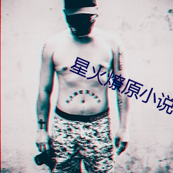 星火燎原小说