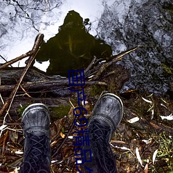 国产69精品(品)久久久(久)久(久)9999