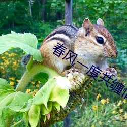 尊龙凯时人生就是搏(中国区)官方网站