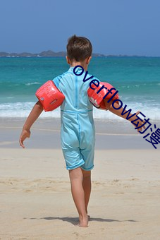 overflow动漫带翻(翻)译带