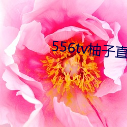 556tv柚子直播 （金声掷地）