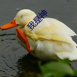 我是神