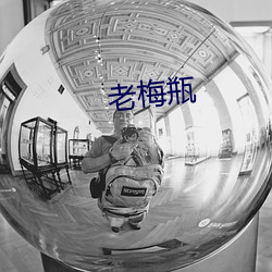 老梅瓶