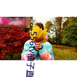 556tv柚子直播