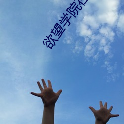 欲望学院在线 悬灯结彩）
