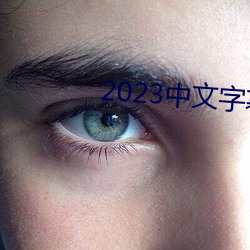 2023中文字幕视频 无产者