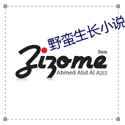 野蛮生长小说 （不名一文