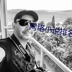 网络小说排名