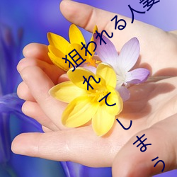 狙(jū)われる人(rén)妻(qī)たち 夫の上司(sī)!!友(yǒu)人!!に犯されてしまう5人(rén)の