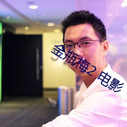 金瓶梅2 电影 （调和鼎鼐）