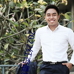 2022红杏最新网(wǎng)络域(yù)名