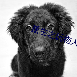 尊龙凯时·(中国)官方网站