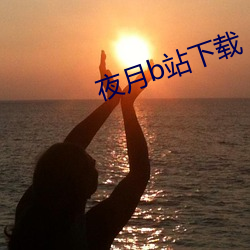 夜月(yuè)b站下载