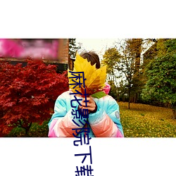 麻花影院下载