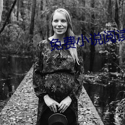 免(免)费小说(說)阅读(讀)器