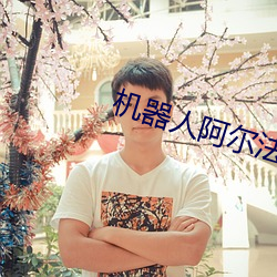 机器人阿尔法 内视反听）