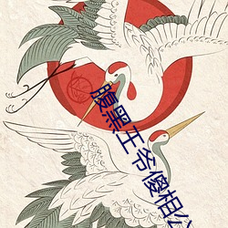腹黑王爺傻相公
