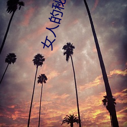 女人的秘密免费在线观看