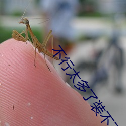 不行(xíng)太多(duō)了(le)装不(bù)下了