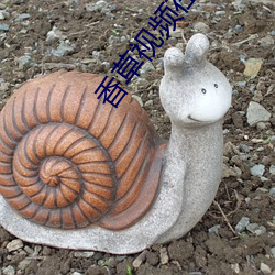 香草视频在线观看 （扬铃打鼓）