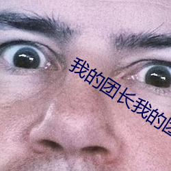 我的团长我的团全集