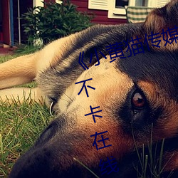 ¡¶小黄(hu¨¢ng)猫传(chu¨¢n)媒xhm11tv入(r¨´)口(kǒu)¡·免费不卡在线观看(kàn)