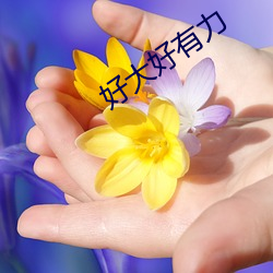 金年会(中国)官方网站