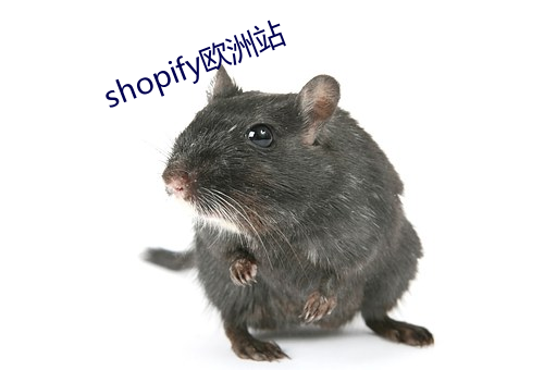 shopify欧洲站