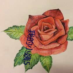 我的小(小)姨5