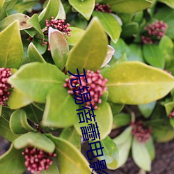 無錫蓓蕾電影院