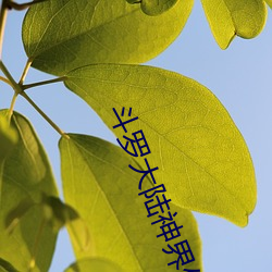 BG大游(中国)唯一官方网站