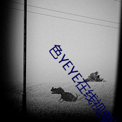 色YEYE在線視頻觀看